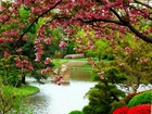 Kwitnące, Drzewo, Klomby, Rzeka, Park, Wiosna