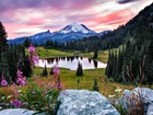 Park Narodowy Mount Rainier, Jezioro Tipsoo, Góry, Lasy, USA