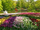 Park, Tulipany, Staw, Drzewa, Holandia, Kwiaty