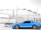 Błękitny, Mustang, Shelby, GT 500