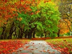 Jesień, Park, Ścieżka, Drzewa, Liście