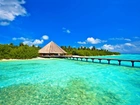 Molo, Morze, Las, Malediwy