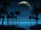 Noc, Ciemne, Niebo, Księżyc, Gwiazdy, Palmy, Ocean, Fantasy
