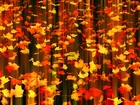Jesień, Opadające Liście, Tekstura