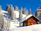 Zima, Śnieg, Domek, Drzewa, Góry