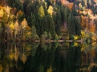 Las, Jezioro, Odbicie, Jesień