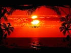 Zachód, Słońca, Morze, Palmy, Samolot