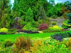 Queen Elizabeth, Park, Drzewa, Krzewy, Kwiaty, Vancouver, Kanada