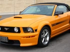 Samochód, Ford, Mustang GT, Kabriolet, Pomarańczowy