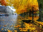 Jesień, Ulica, Deszcz, Parasol, Budynki, Samochody, Drzewa, Liście