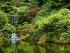 Japoński, Ogród, Wodospad, Drzewa, Staw