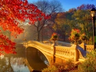 Jesień, Most, Rzeka, Drzewa, Latarnia