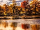 Jesień, Rzeka, Drzewa, Kaczki
