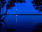 Jezioro, Noc, Księżyc, Odbicie, Drzewa
