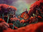 Kwitnące, Kwiaty, Motyl, Monarch
