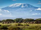 Kilimandżaro, Tanzania, Afryka, Góry, Słonie