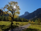 Droga, Wschód słońca, Drzewo, Góry Tyrol, Austria