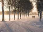 Zima, Śnieg, Droga, Drzewa, Samochód