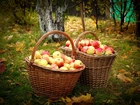 Jesień, Drzewa, Liście, Kosze, Jabłka