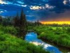 Rzeka, Las, Krzewy, Zachód Słońca, Alberta, Kanada
