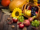 Owoce, Jesieni, Koszyk, Słonecznik