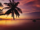 Morze, Palmy, Zachód słońca