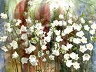 Kwiaty, Białe, Dzwonki, Grafika