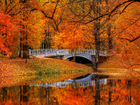 Jesień, Park, Drzewa, Rzeka, Most, Liście, Odbicie