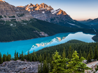 Kanada, Park Narodowy Banff, Jezioro Peyto Lake, Góry Canadian Rockies, Lasy
