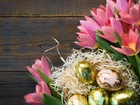 Tulipany, Pisanki, Deski, Wielkanoc