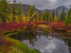 Jesień, Jezioro Jack London, Góry Kołymskie, Drzewa, Rośliny, Kołyma, Obwód magadański, Rosja