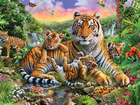 Tygrysy, Młode, Dżungla, Obraz