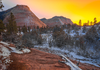 Park Narodowy Zion, Stan Utah, Stany Zjednoczone, Zima, Śnieg, Drzewa, Wzgórza