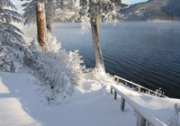 Zima, ?nieg, Drzewa, Szron, Pogodny dzie?, Jezioro, Canim Lake, Kolumbia Brytyjska, Kanada
