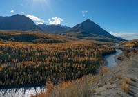 Góry, Chugach Mountains, Drzewa, Las, Rzeka, Matanuska River, Chickaloon, Alaska, Stany Zjednoczone