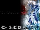 Neon Genesis Evangelion, postać, napis