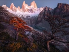 Argentyna, Patagonia, Ośnieżone, Góry, Szczyt Fitz Roy, Jezioro, Drzewa