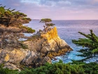 Skały, Drzewa, Cyprys wielkoszyszkowy, Atrakcja Lone Cypress, Pebble Beach, Morze, Zatoka, Carmel Bay, Kalifornia, Stany Zjednoczone