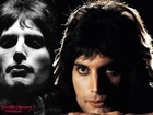 Twarz, Freddie Mercury