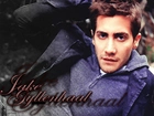 Jake Gyllenhaal,niebieskie oczy