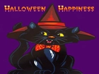 Halloween,czarny kot