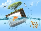 woda, złota rybka, drzewo, telewizor, niebo, ptaki