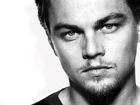 Leonardo DiCaprio,jasne oczy, bródka