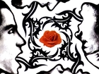 Red Hot Chili Peppers,róża , twarz