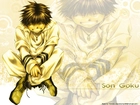 Saiyuki, son goku, gold