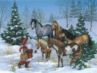 Boże Narodzenie,konie