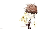 Saiyuki, chłopak, kwiatki