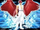 Saiyuki, czerwone, skrzydła