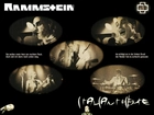 Rammstein,mikrofon, perkusja