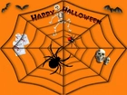 Halloween,pająki, pajęczyna